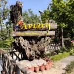 aviary near me