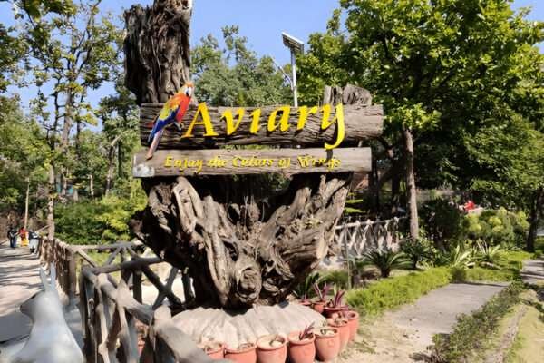 aviary near me