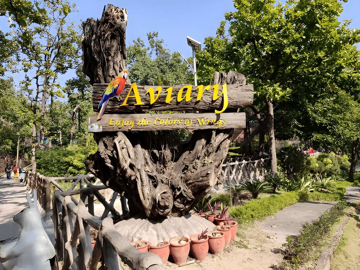 aviary near me